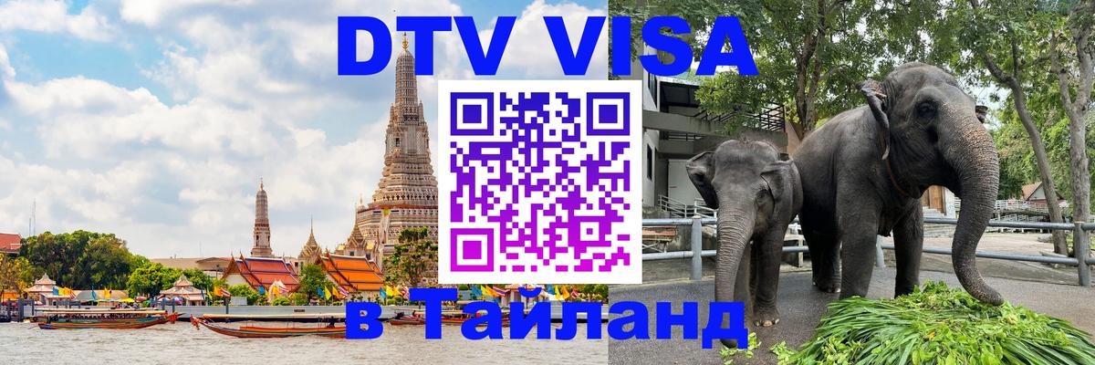 Сколько стоит DTV виза — актуальные цены, оформление даже без документов - 